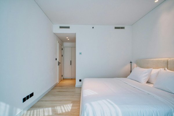 Comment organiser une visite des plantations de lavande en Provence avec un budget serré?